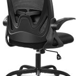 Ergonomic Desk Chair with Adjustable Lumbar Support